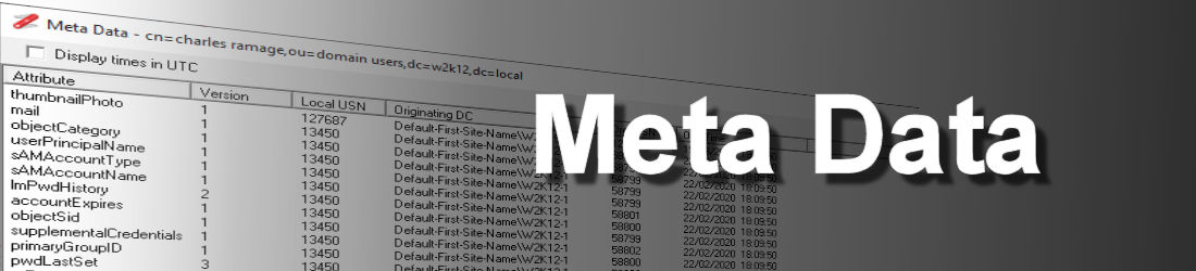 MetaData